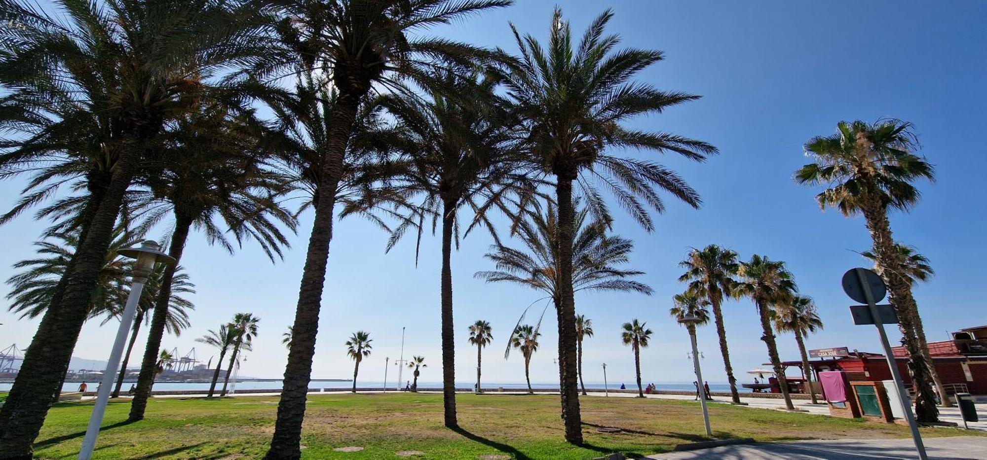 Paloma Beach مالقة المظهر الخارجي الصورة